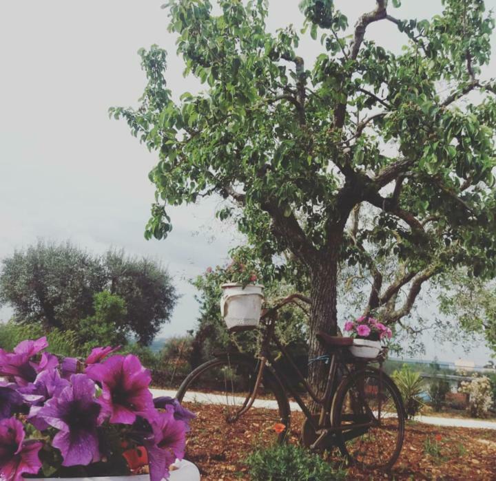 Villa Trulli Di Nonna Palma Locorotondo Exterior foto