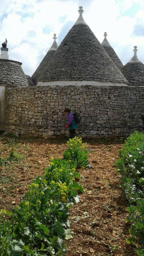 Villa Trulli Di Nonna Palma Locorotondo Exterior foto